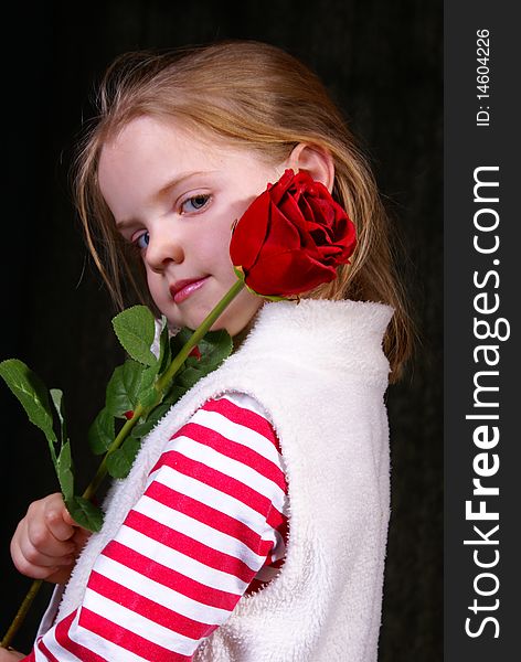 4 Year old girl posing in studio with a red rose. She has a very dreamy look in her eyes. 4 Year old girl posing in studio with a red rose. She has a very dreamy look in her eyes.