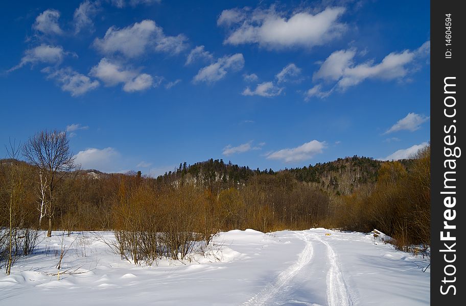 Landscape With Winter Wood Road