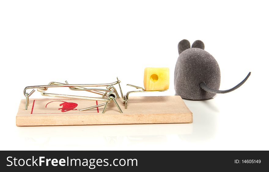 A Mouse Mousetrap