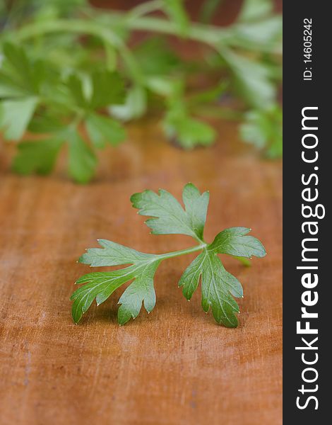 Green parsley on wood table