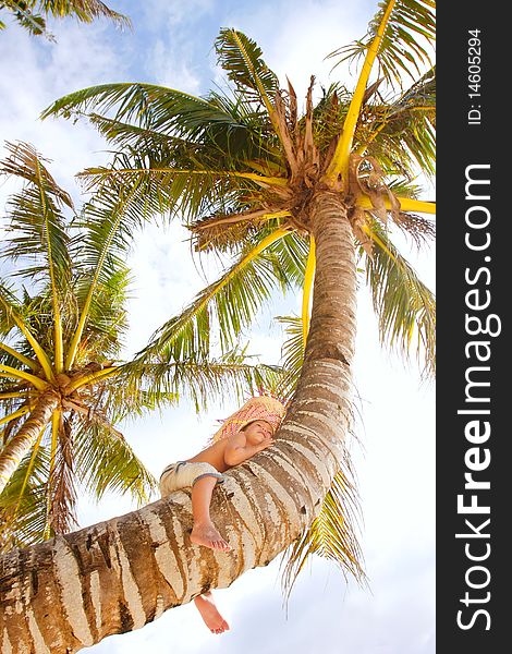 Happy boy on palm tree over sky background