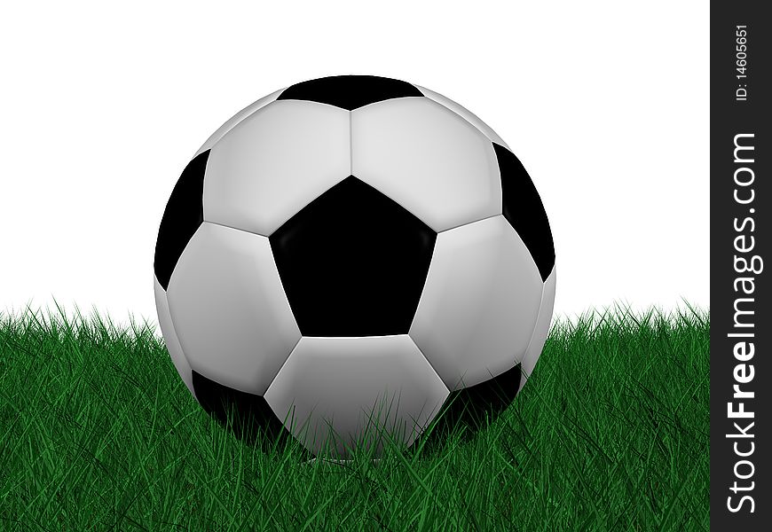 Soccer Ball On Grass