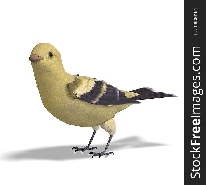 Female Goldfinch. 3D rendering with clipping path