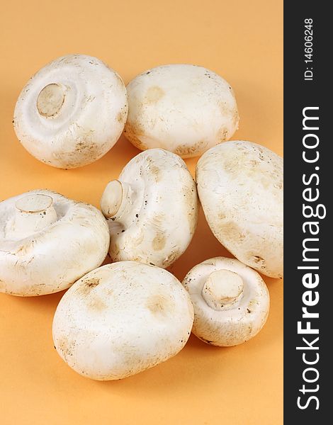 Close up of mushrooms over yellow background. Close up of mushrooms over yellow background