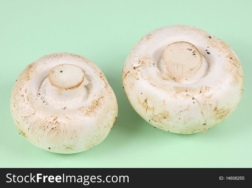 Group of white field mushroom. Close-up. Isolated on green background.