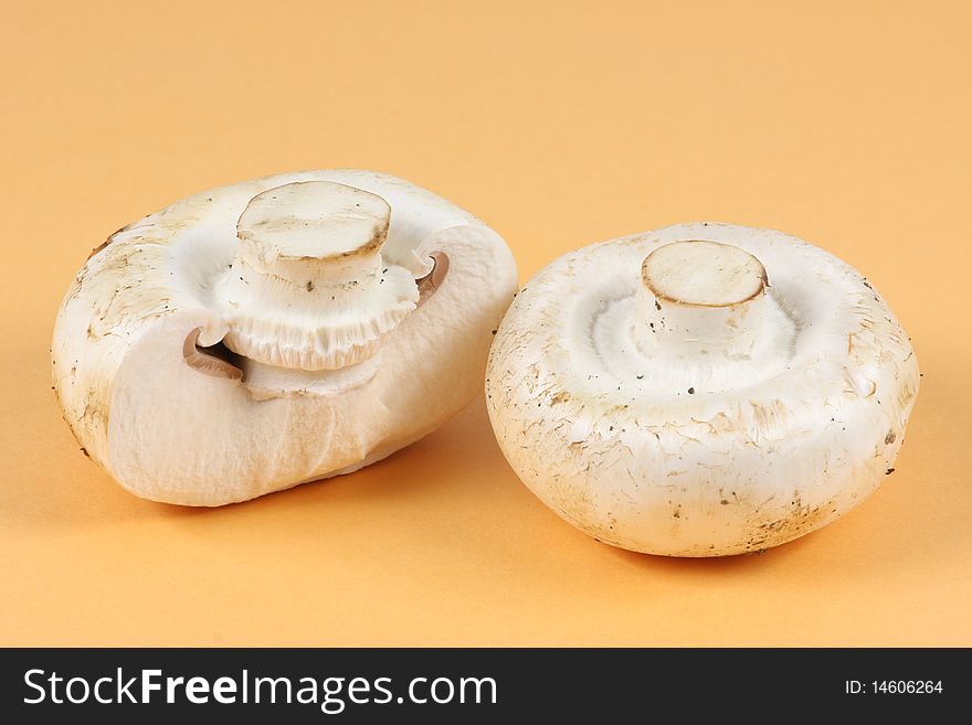 Two white mushrooms