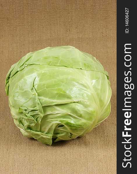 Fresh green Chinese cabbage background,single and closeup.