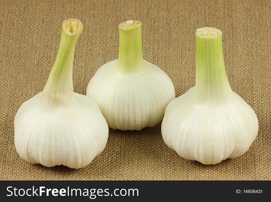 Studio shot of some fresh garlic. Isolated. White background.