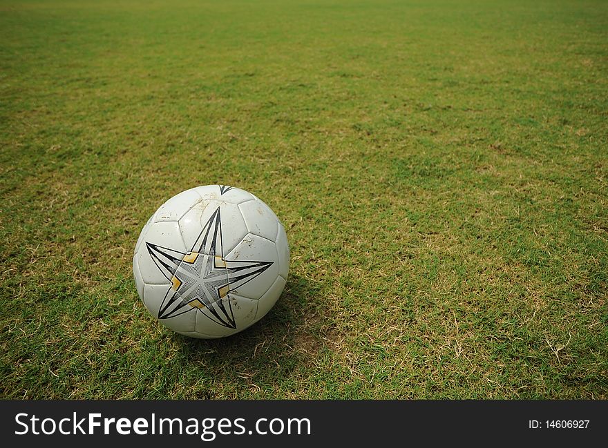 Foot ball in green garden. Foot ball in green garden