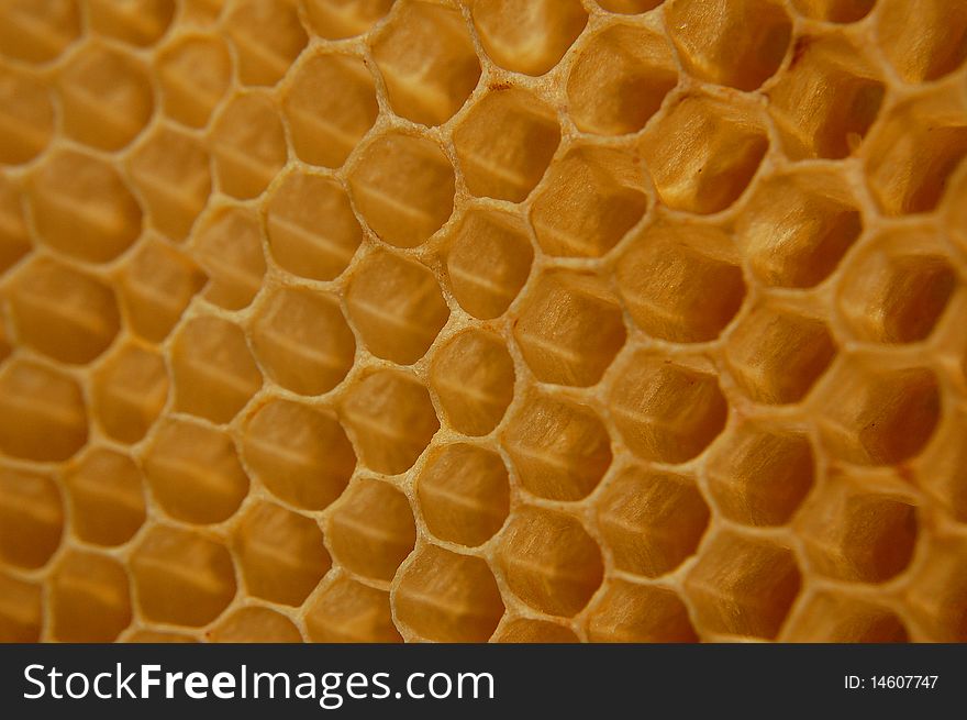 Cells of honey comb as background or texture. Cells of honey comb as background or texture