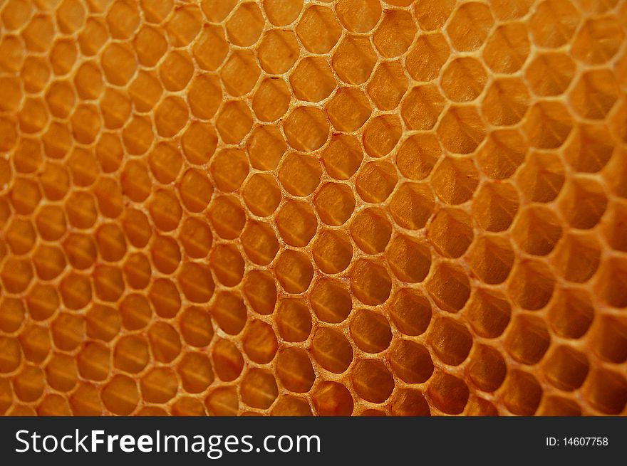 Cells of honey comb as background or texture. Cells of honey comb as background or texture