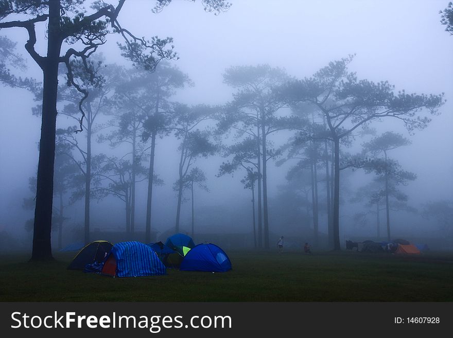 Camping on the mountain with the mist. Camping on the mountain with the mist