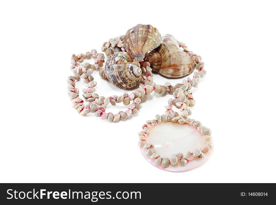 Necklaces made of shells on the background of marine molluscs isolated on white. Necklaces made of shells on the background of marine molluscs isolated on white