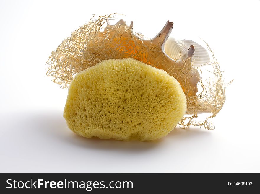 Sponge shell for spa procedures