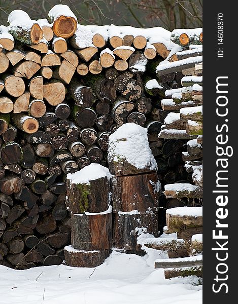 A snowy stack of logs of firewood