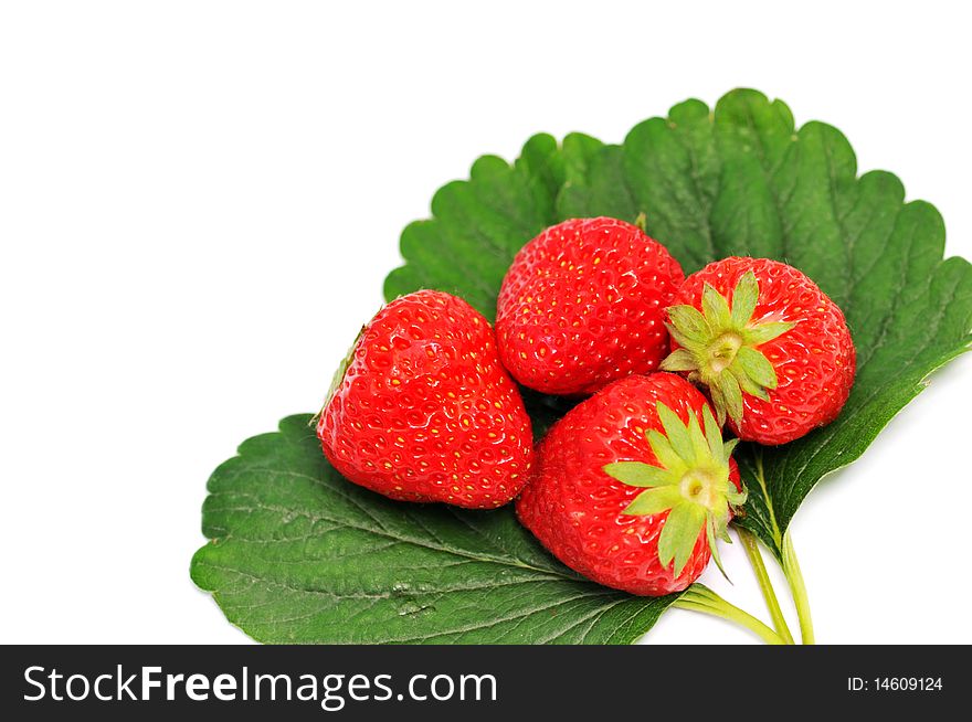 Beautiful four strawberries on a white background. Beautiful four strawberries on a white background.