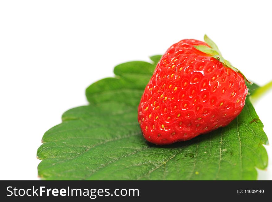 Beautiful one strawberries on a white background. Beautiful one strawberries on a white background.