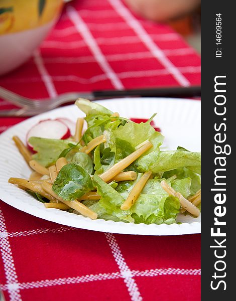 Fresh salad with beans and lettuce