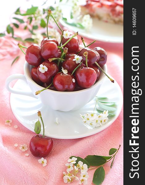 A cup of cherry with flower on pink background. A cup of cherry with flower on pink background