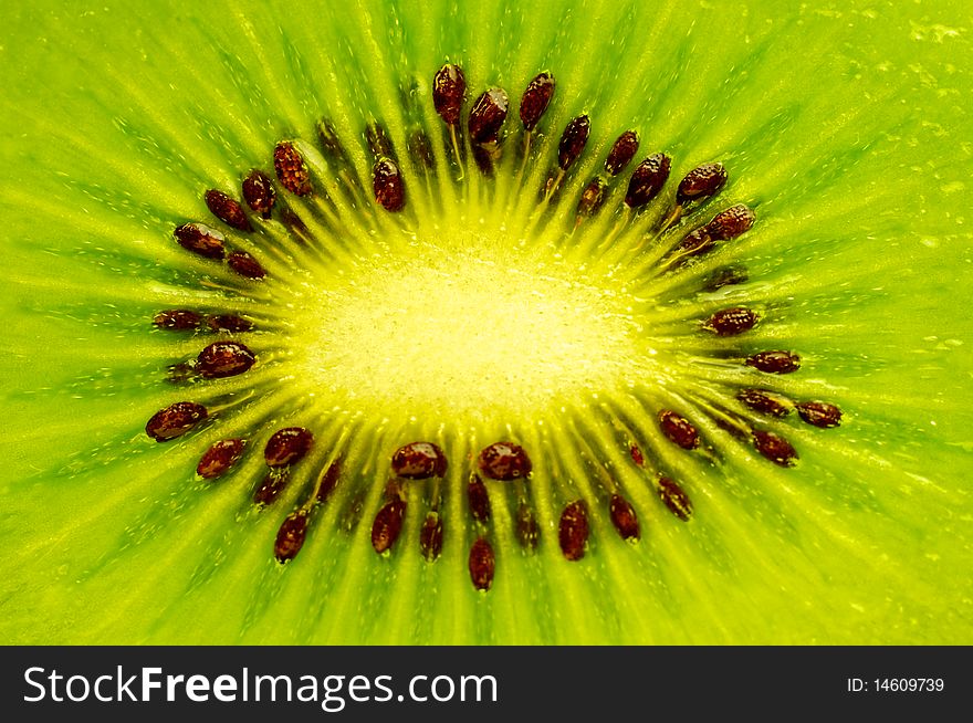 A closeup of a fresh kiwi fruit. A closeup of a fresh kiwi fruit