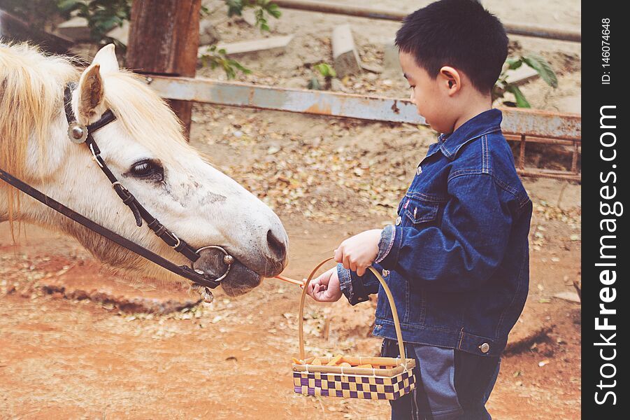 Boy feeding horse in his farm.