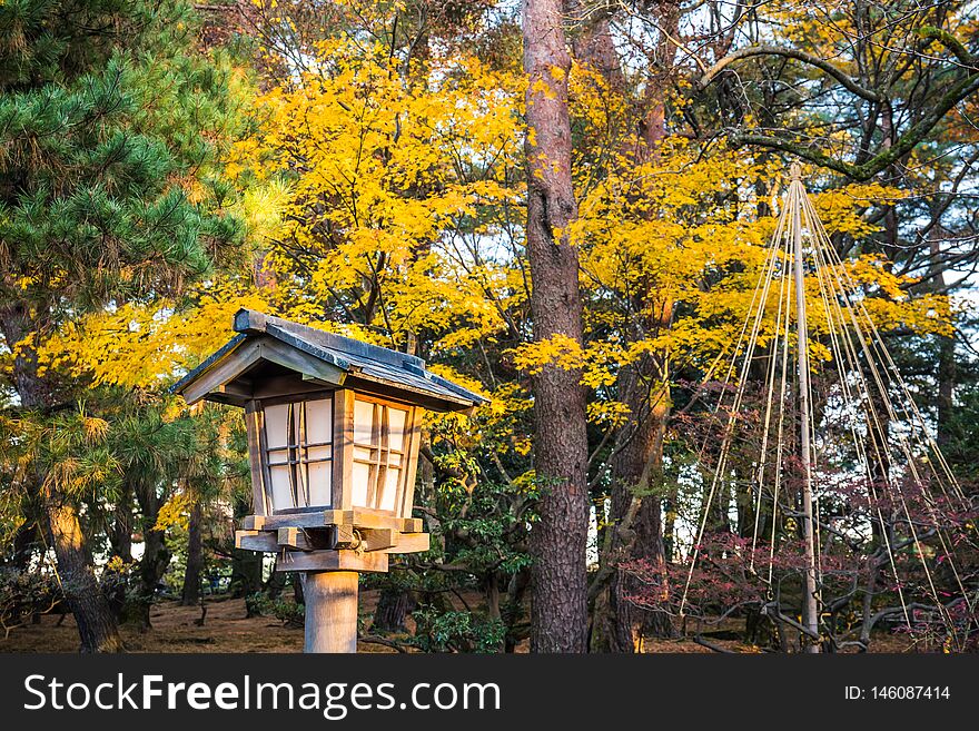 Autumn foliage at Kenrokuen Garden in Kanazawa, Japan