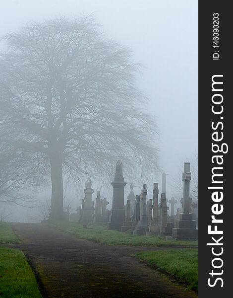 Burial ground memorials stand beside a tree muted by an early morning fog. Burial ground memorials stand beside a tree muted by an early morning fog