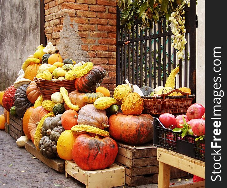 Street Market Of Treviso, The Pumpkins. Italy