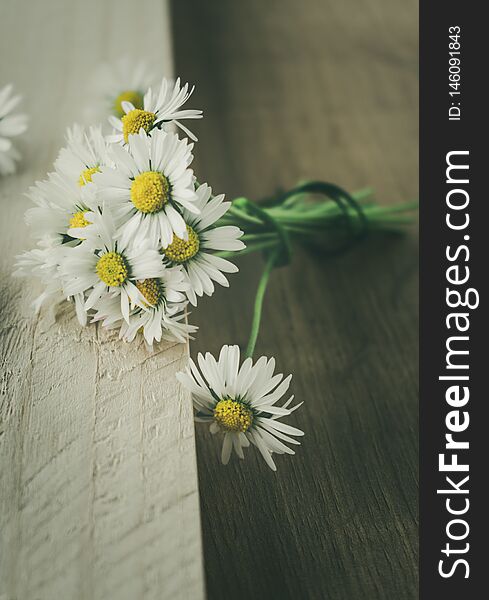A bunch of blooming daisies on rustic wooden background