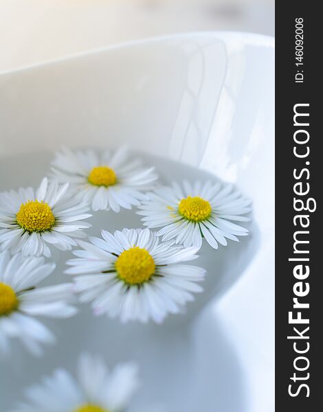 Close up of daisy flowers floating in a bowl of spa water