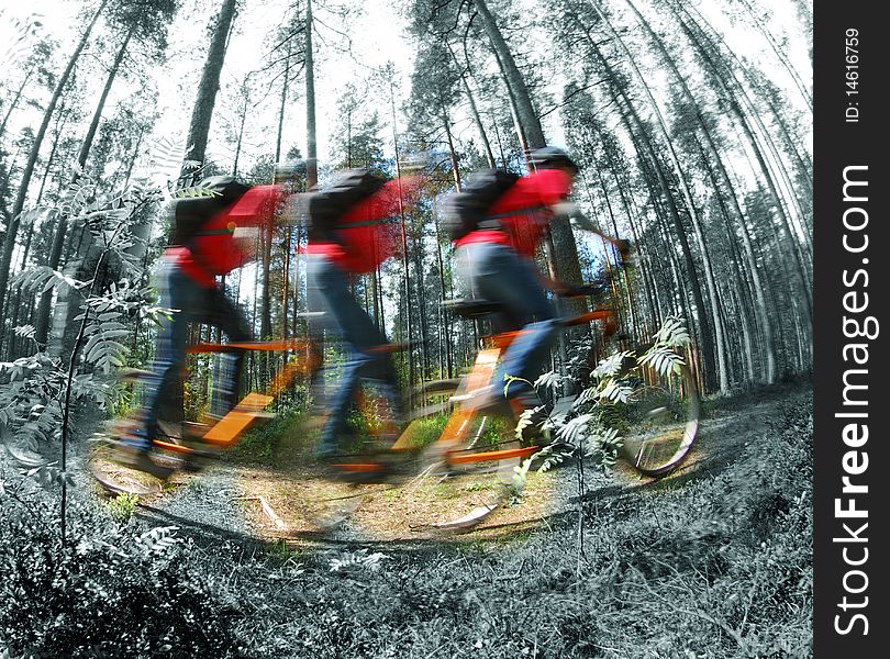 Cyclist races through the woods; everything but the cyclist area is black and white; with motion blur on the cyclist. Cyclist races through the woods; everything but the cyclist area is black and white; with motion blur on the cyclist