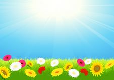 Bright Summer Landscape Royalty Free Stock Images Bright Summer Landscape Royalty Free Stock Images
