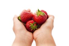 Handful Of Strawberries Stock Image