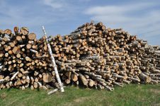 Pile Of Birch Logs Royalty Free Stock Photography