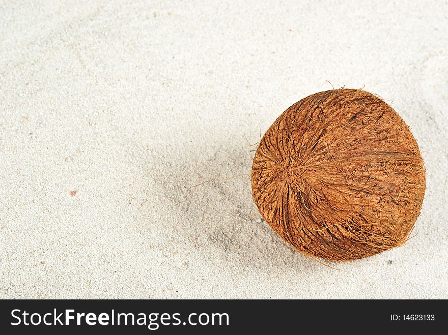 Coconut on the sand background