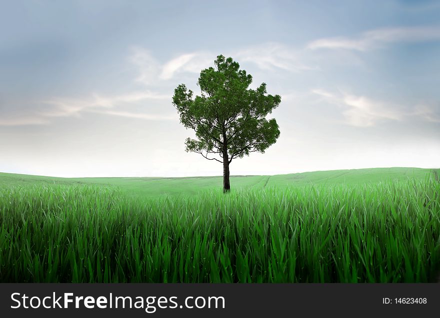 View of a tree on a green meadow
