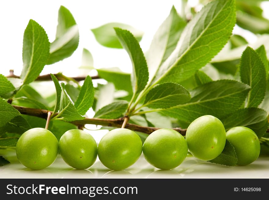 Growing Green Fruits Isolated On The White