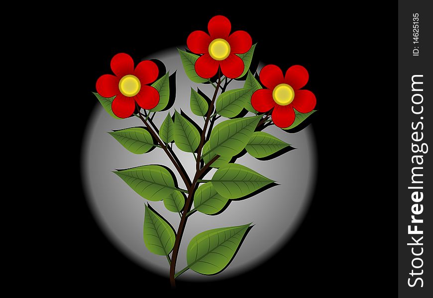 Red flowers on a black background