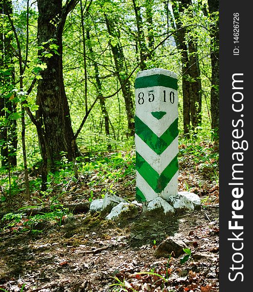 Green striped border marker in the forest
