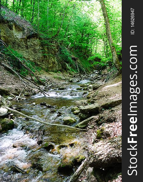 Fast mountain stream in the Crimean moutains