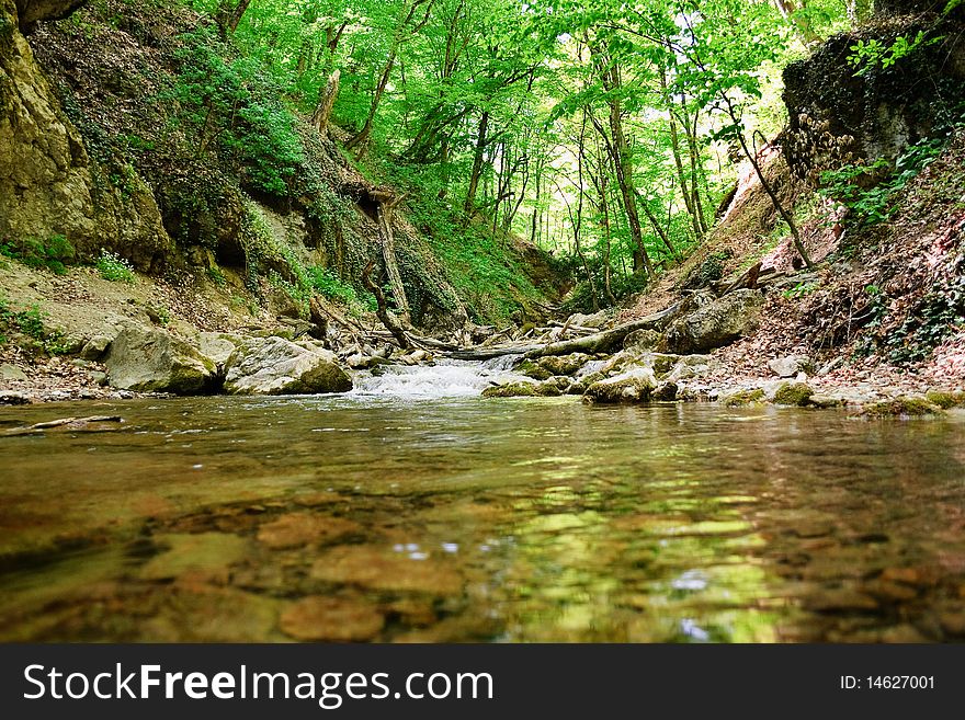 Cold mountain creek in the Crimean moutains. Cold mountain creek in the Crimean moutains
