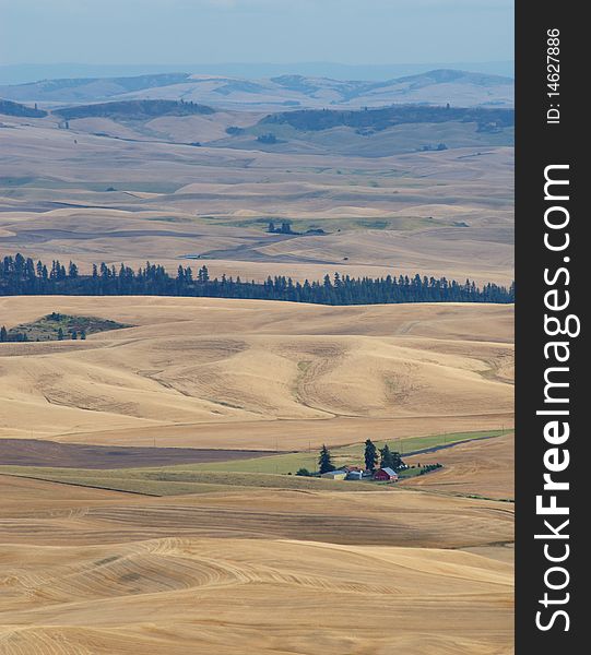 A photo of a tiny farm, lost in the vastness of the wheat farms of the Palouse, Washington. A photo of a tiny farm, lost in the vastness of the wheat farms of the Palouse, Washington