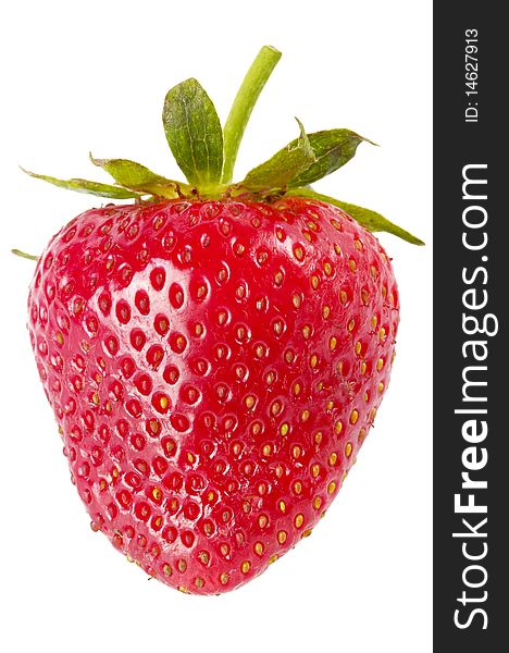 One strawberry macro shot isolated over white background