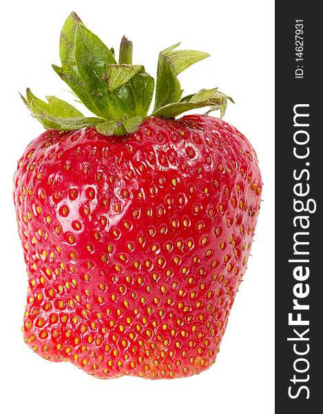 One strawberry macro shot isolated over white background