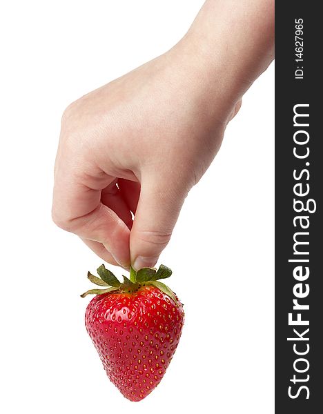 Ripe strawberry hanging on child's fingers  isolated over white background. Ripe strawberry hanging on child's fingers  isolated over white background