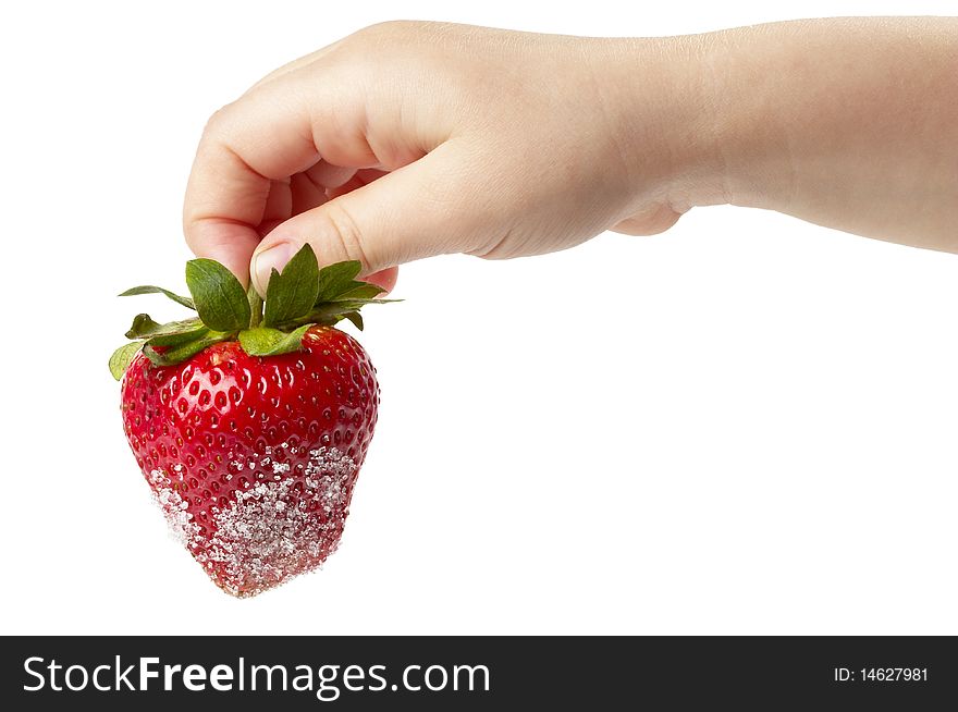 Ripe strawberry in sugar hanging on child's fingers  isolated over white background. Ripe strawberry in sugar hanging on child's fingers  isolated over white background