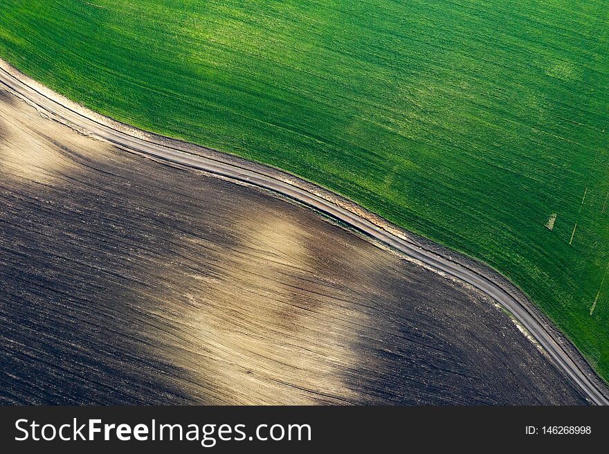 Green spring field