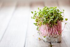 Fresh Pink Radish Sprouts On Old Wooden Table Stock Photo