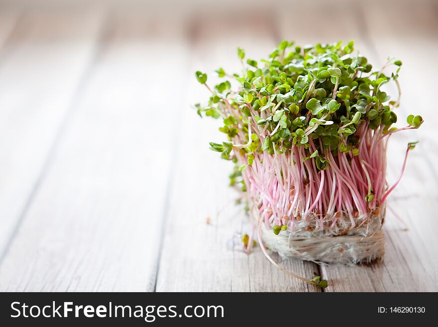 Fresh pink radish sprouts on old wooden table