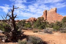 Canyon Lands National Park Needles District Stock Photo Canyon Lands National Park Needles District Stock Photo